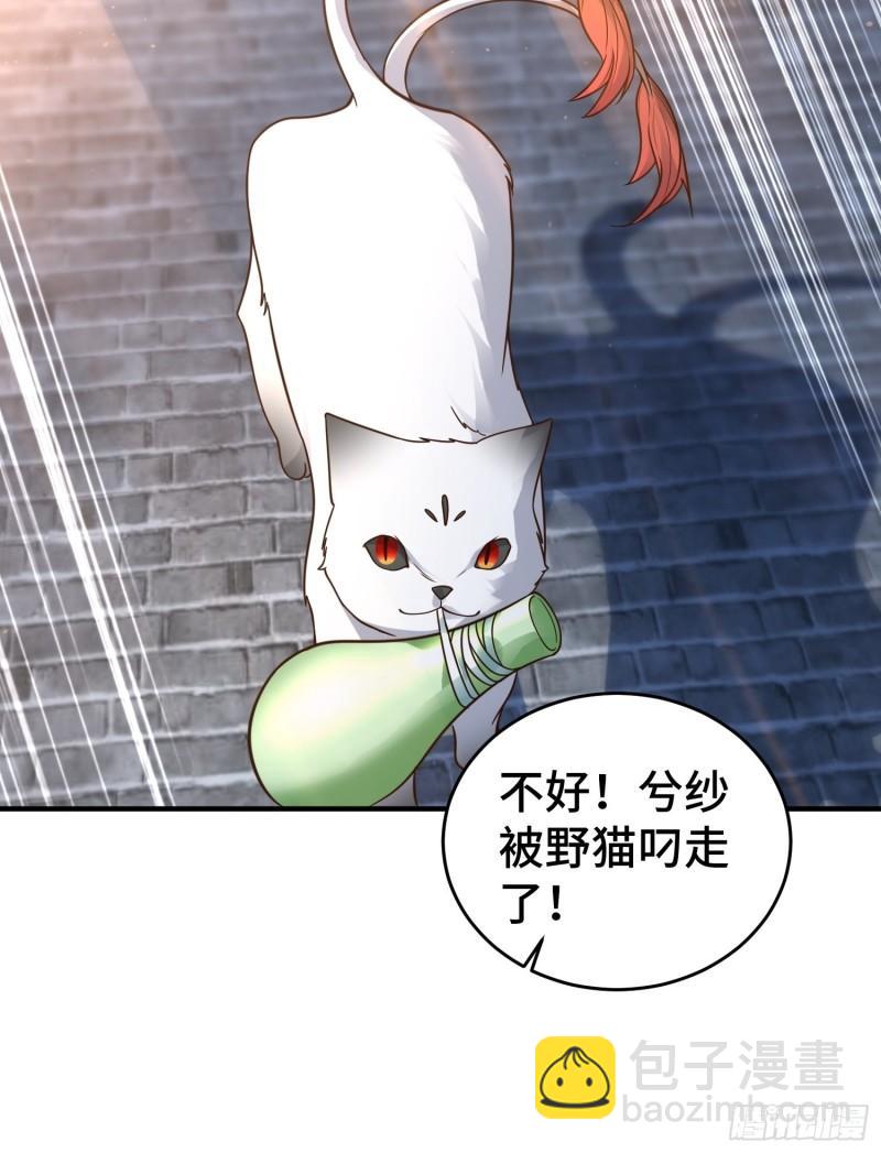 🍵被迫成为反派赘婿 妖猫夺丹 第14页