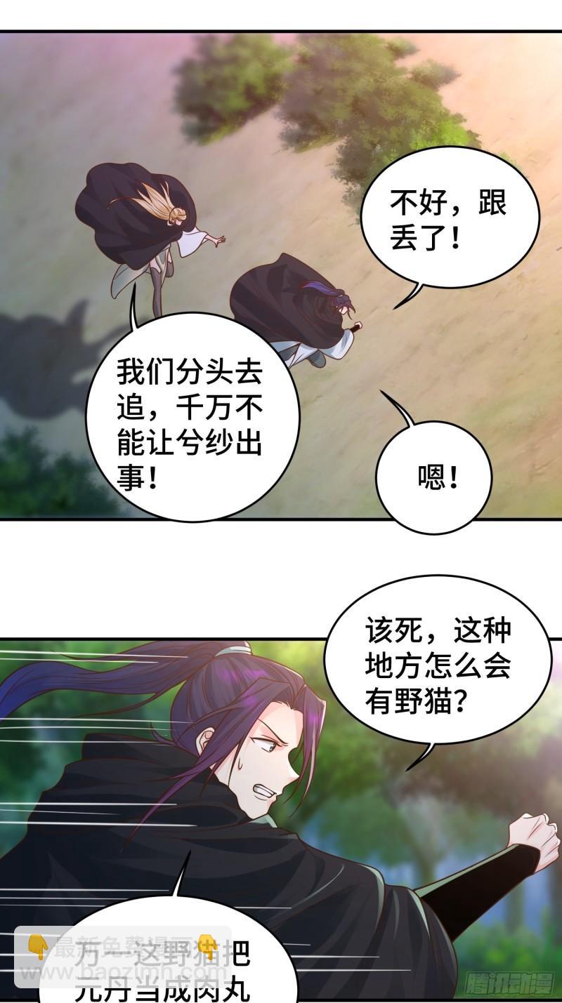 🍵被迫成为反派赘婿 妖猫夺丹 第17页