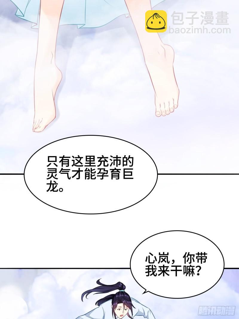 🍵被迫成为反派赘婿 巨龙的力量 第19页