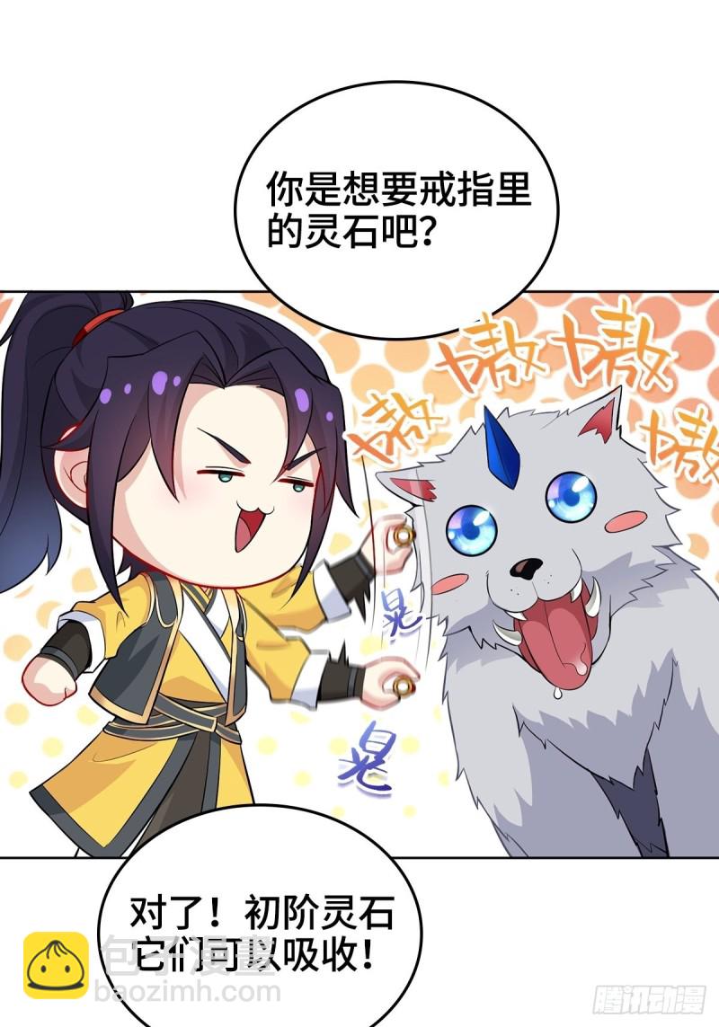 🍵被迫成为反派赘婿 三门魁首 第11页