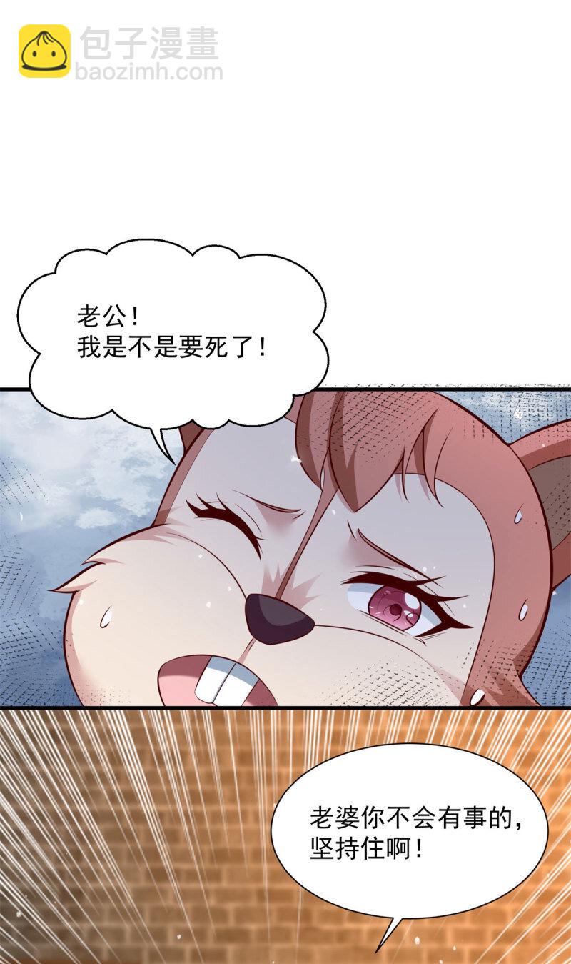 🍵被迫成为反派赘婿 603 灵石 第12页