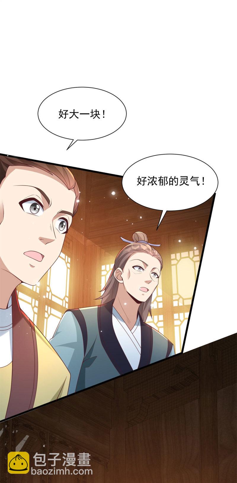 🍵被迫成为反派赘婿 603 灵石 第20页