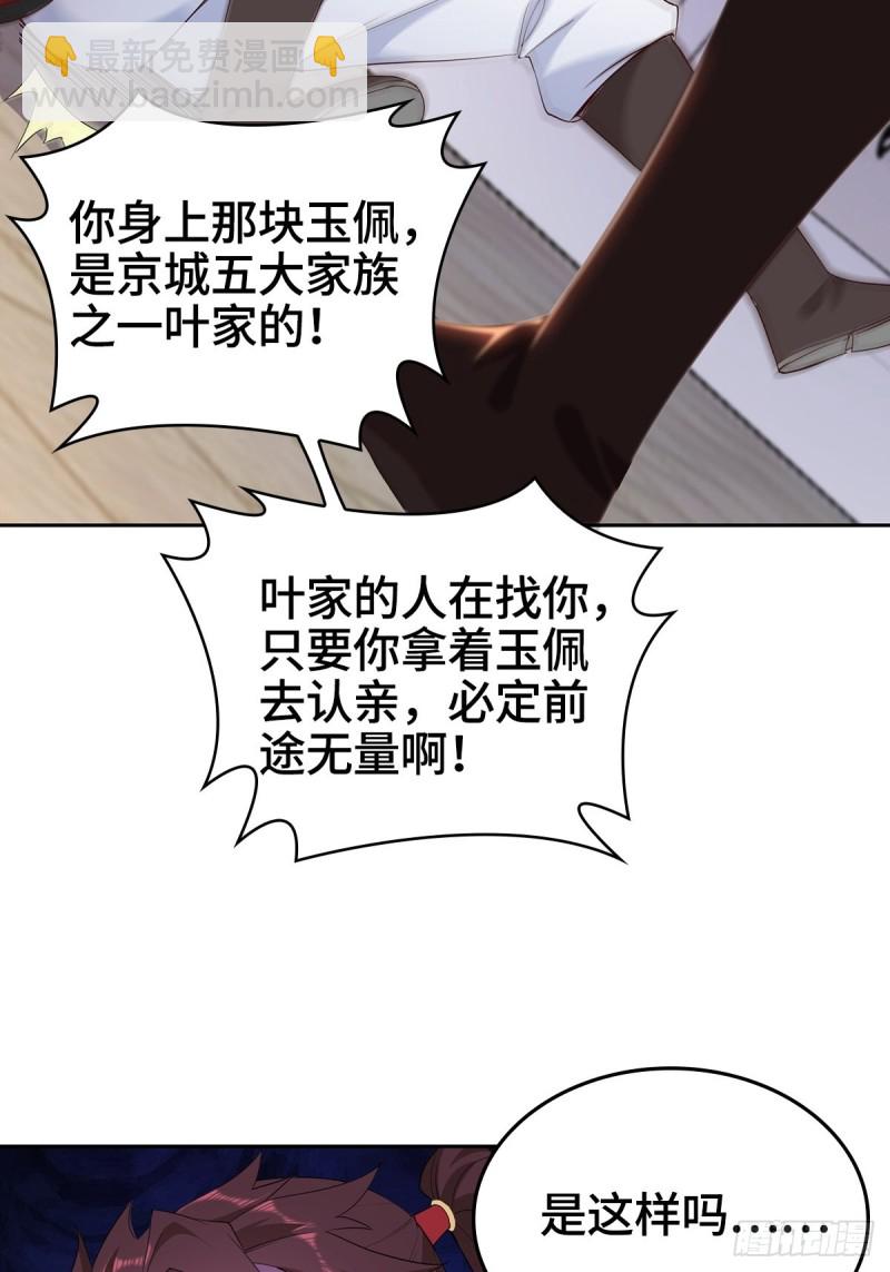 🍵被迫成为反派赘婿 叶琼的身世 第32页