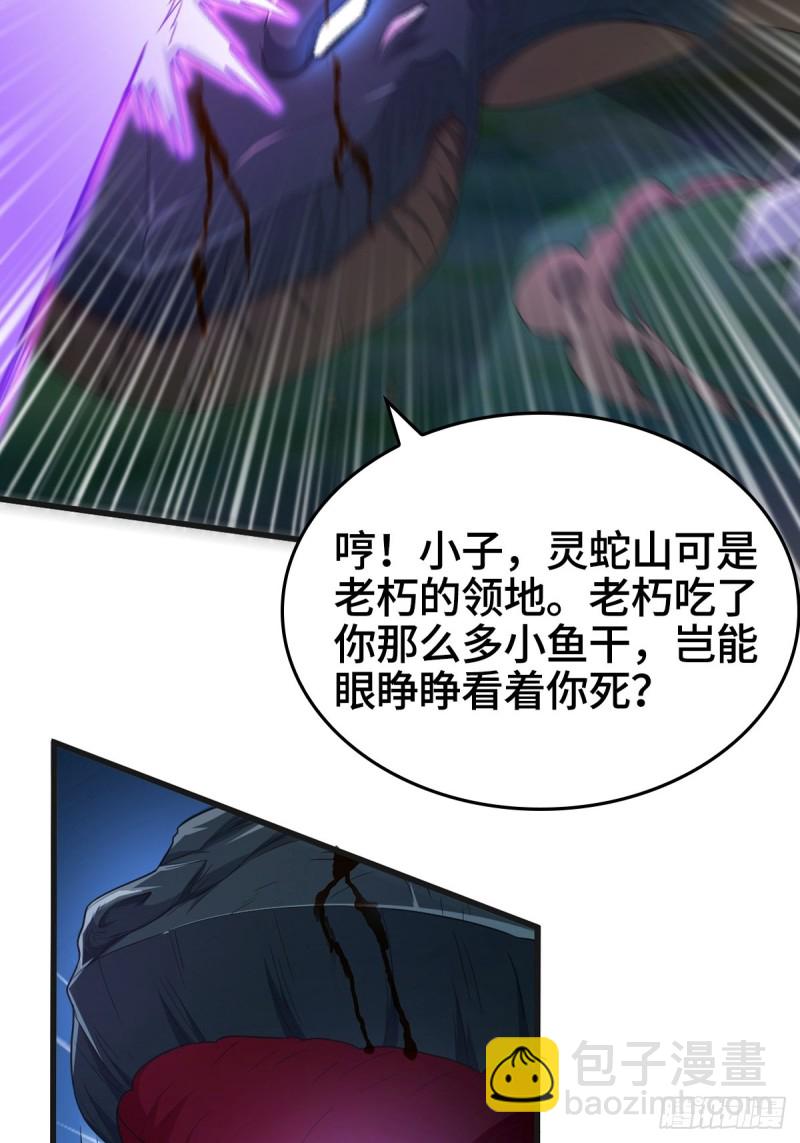 🍵被迫成为反派赘婿 龙王龟的意志 第12页
