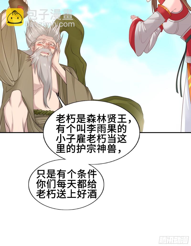 🍵被迫成为反派赘婿 武皇剑狮 第11页