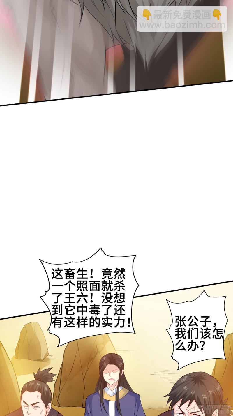 🍵被迫成为反派赘婿 武皇剑狮 第27页