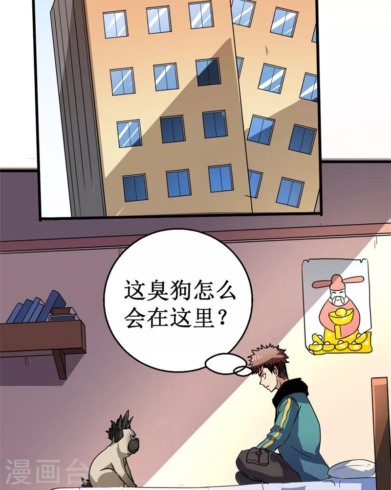 第13话 巴哥竟是灵兽？！-第14话