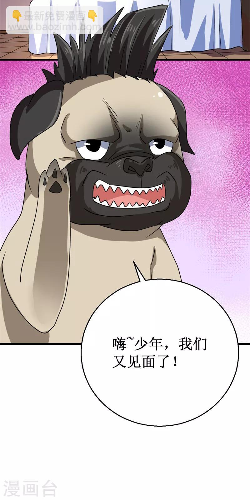 第13话 巴哥竟是灵兽？！-第14话
