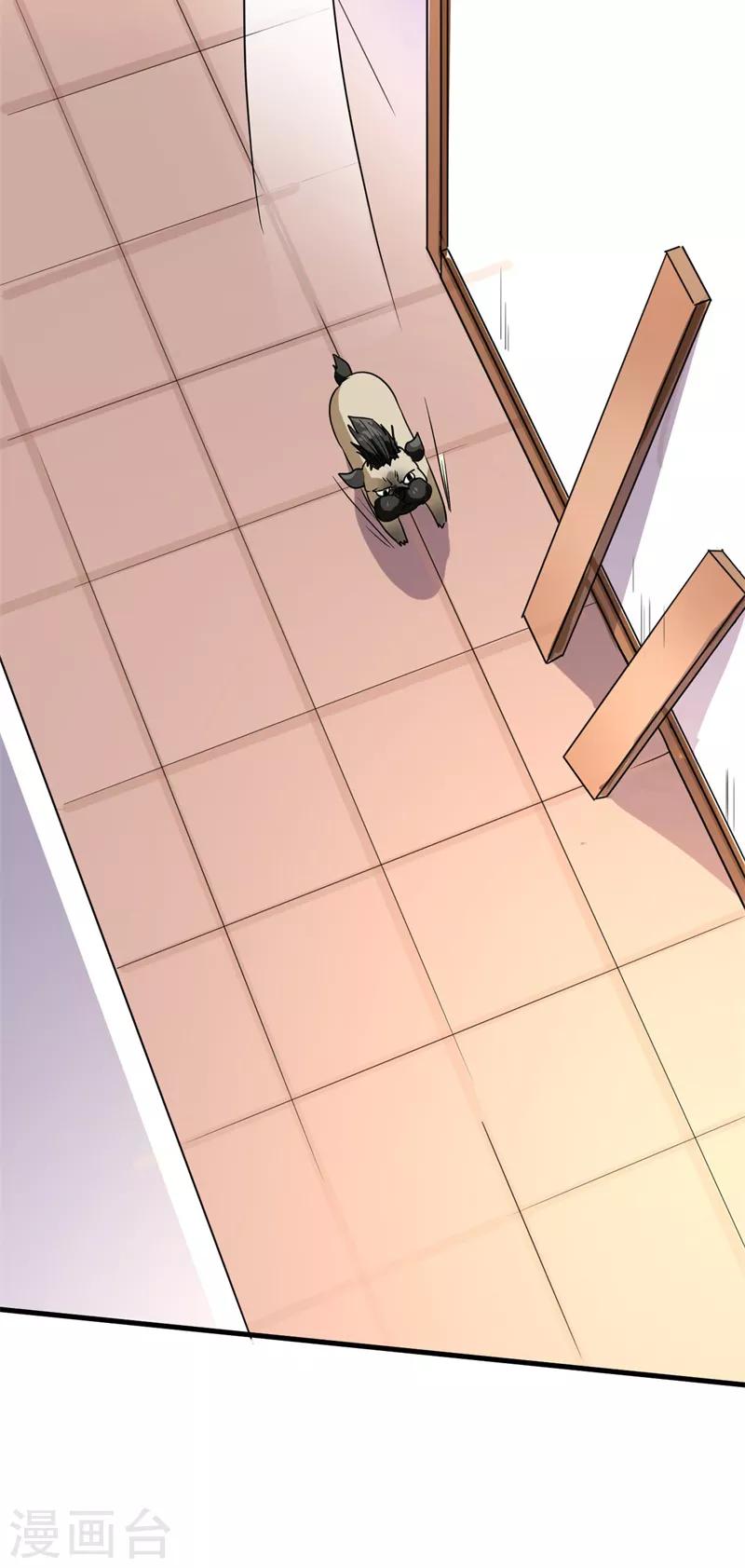第13话 巴哥竟是灵兽？！-第14话