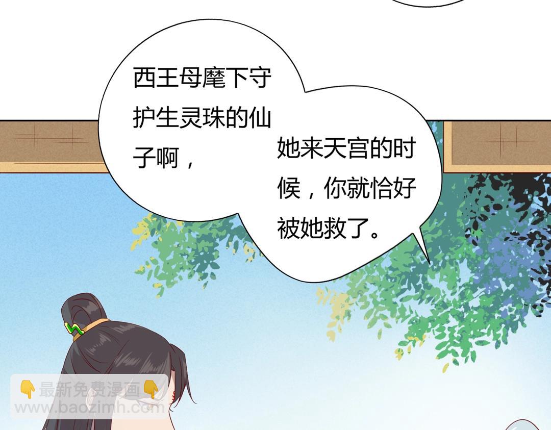 🍵被天敌饲养的日子 第146话 没有白小兔？ 第47页