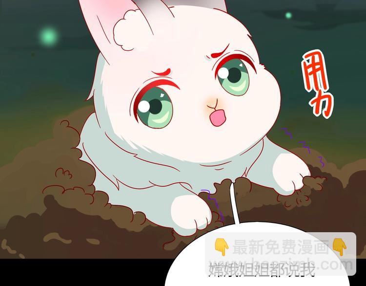 🍵被天敌饲养的日子 第26话 兔兔的方向感？ 第21页