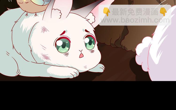 🍵被天敌饲养的日子 第26话 兔兔的方向感？ 第9页