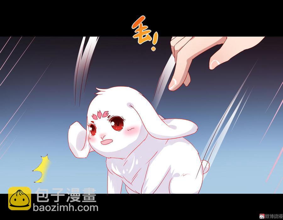 🍵被天敌饲养的日子 第62话 兔子果然适合圈养 第14页