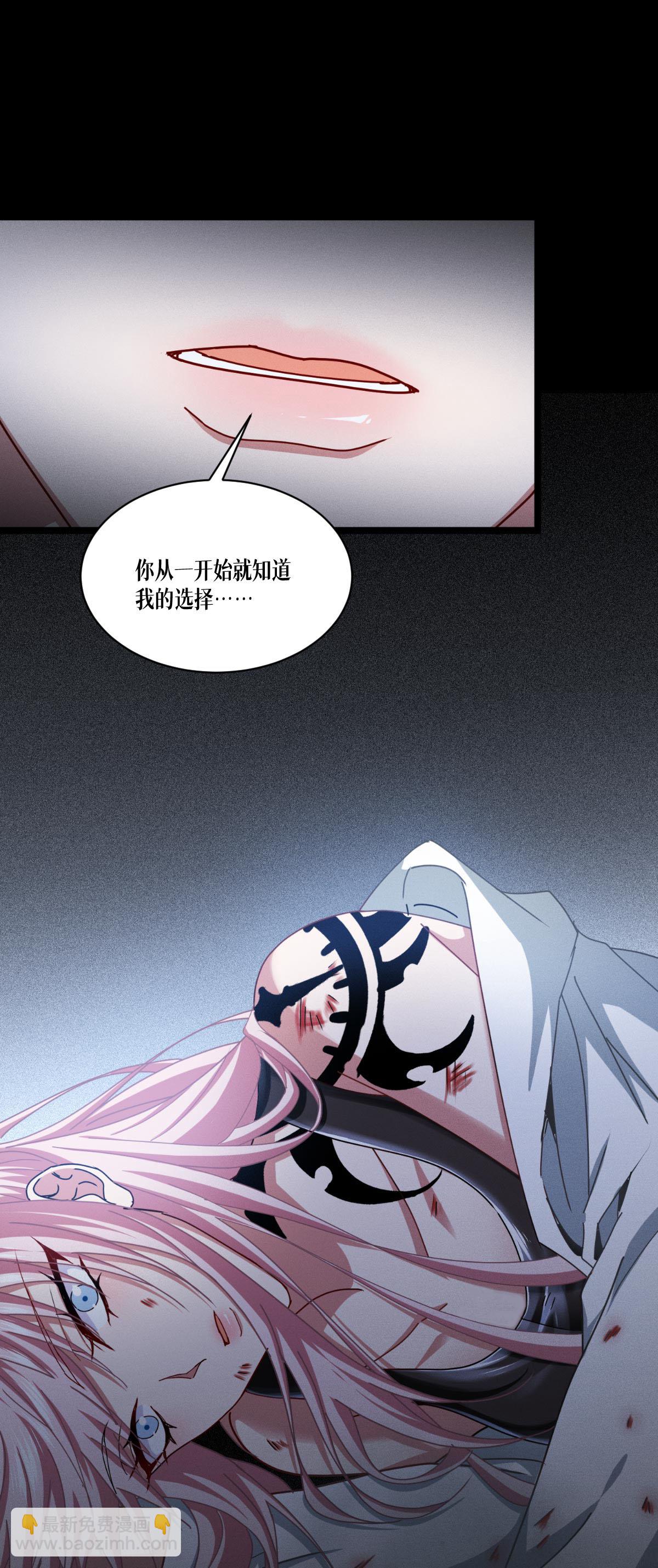 最终话 无悔的选择(1/2)-第100话