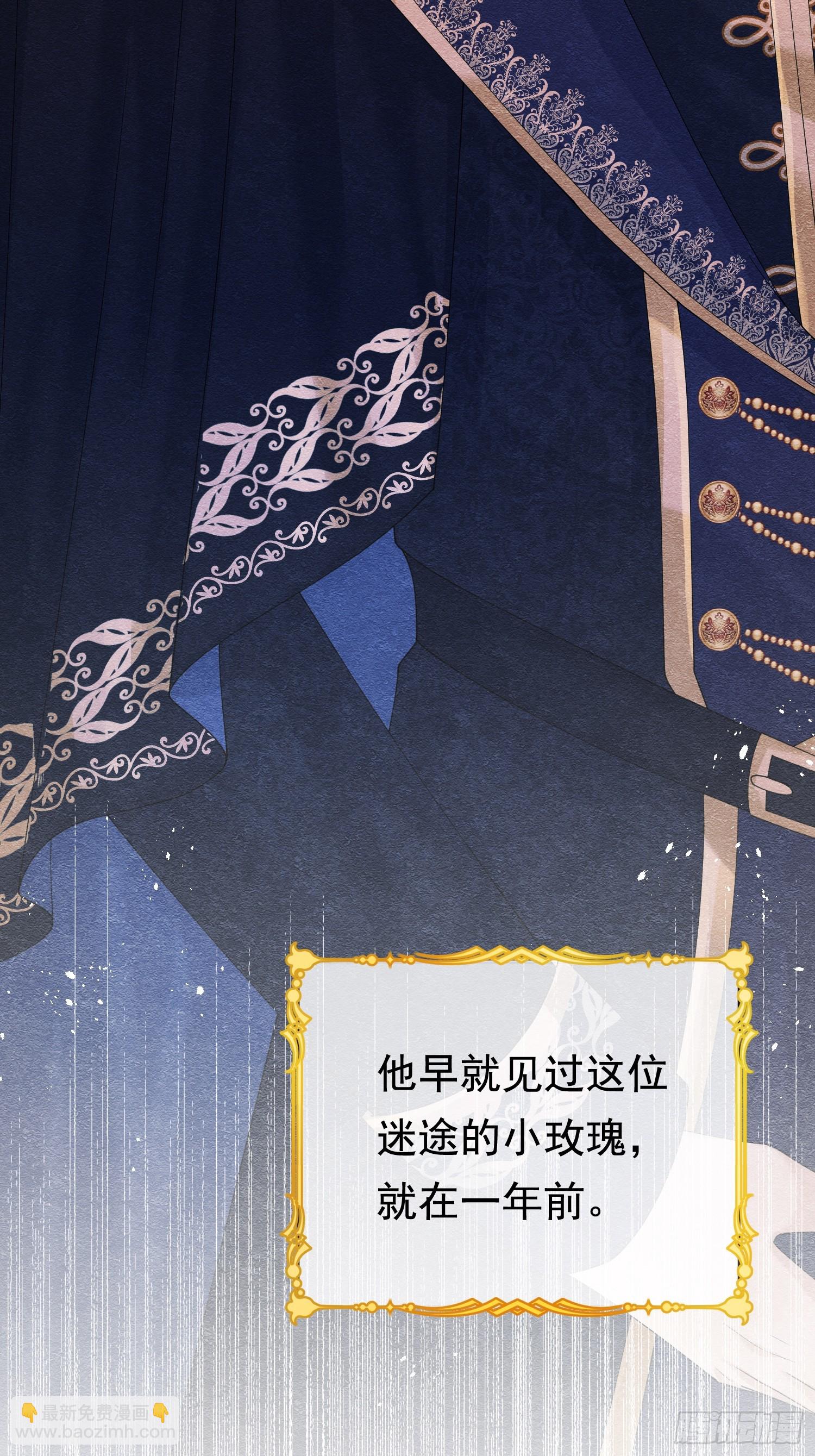 01 迷途的小玫瑰(1/2)-第2话