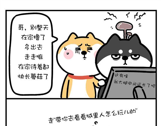 不要在一个人偷偷吃屎-第2话