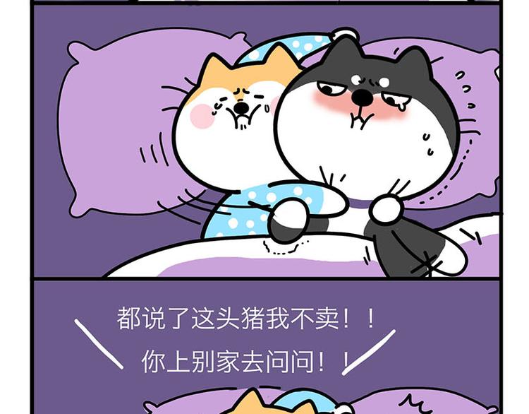 姐，我求你！-第18话