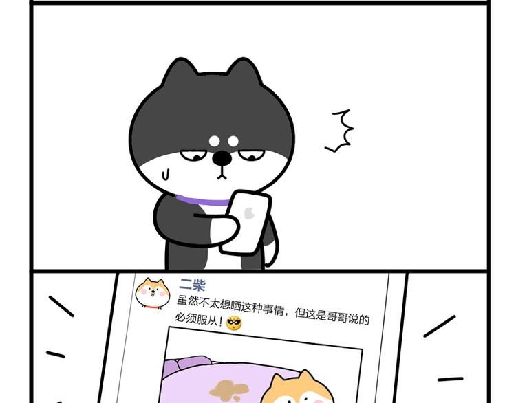 我带你转两圈-第30话