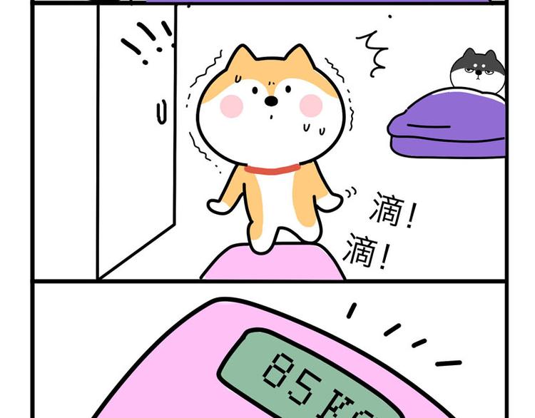 我带你转两圈-第30话