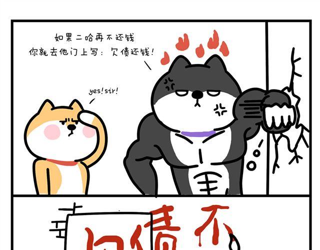 追债的意外收获-第6话