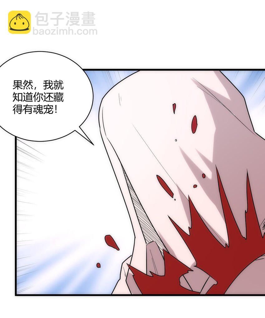 214 只是分身-第214话