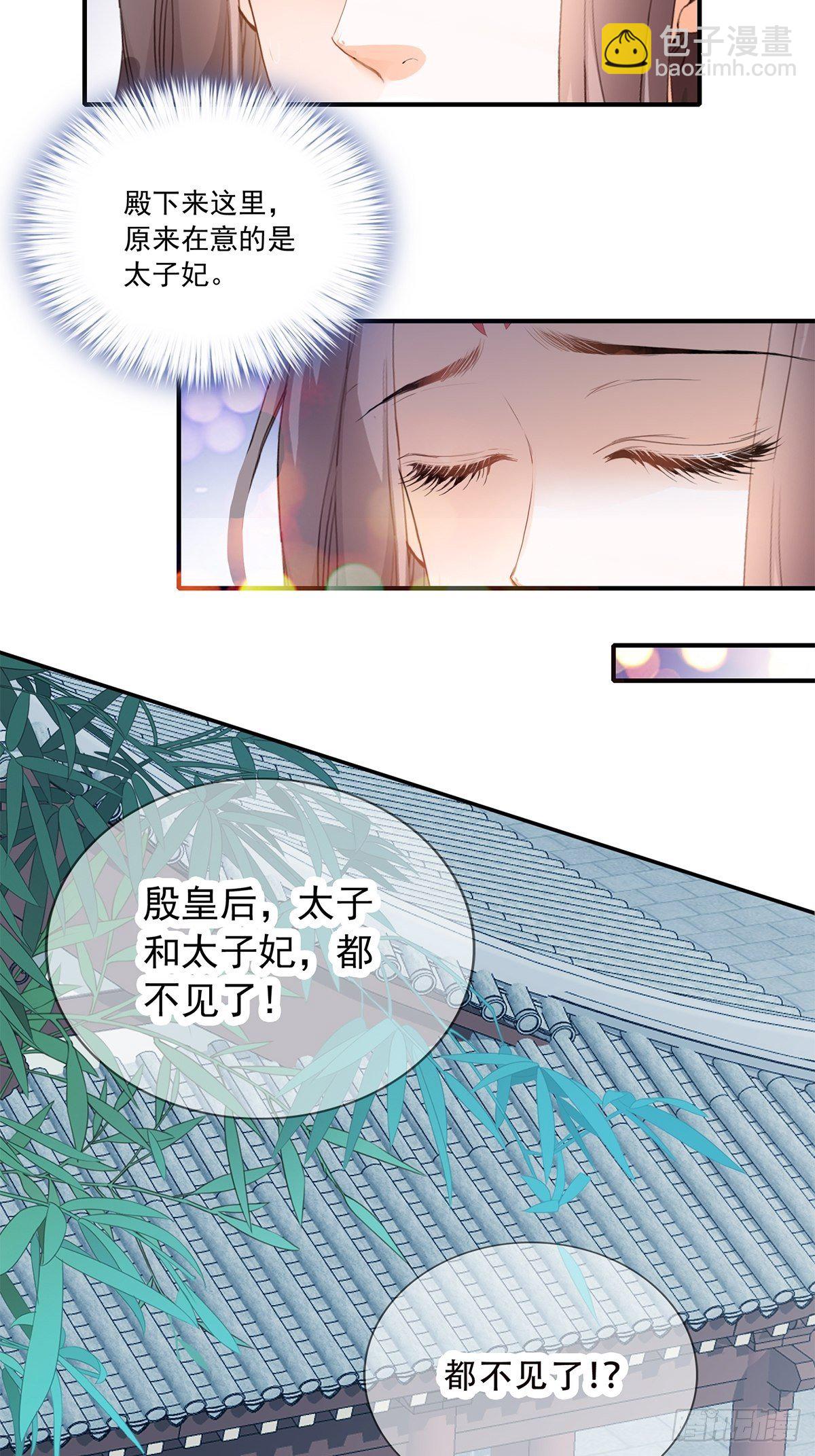 挂念太子妃-第120话