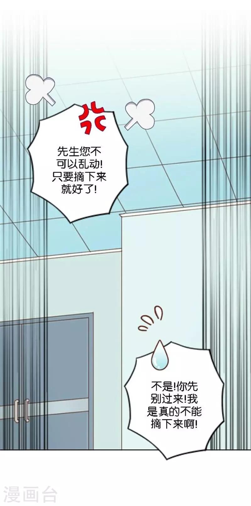 第42话 喜欢你都还来不及(1/2)-第50话