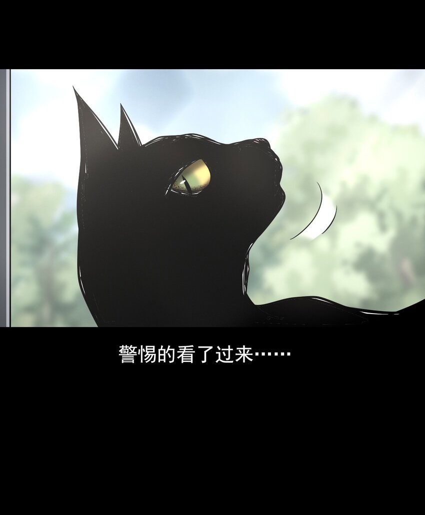 036 诡异的黑猫（下）(1/3)-第36话