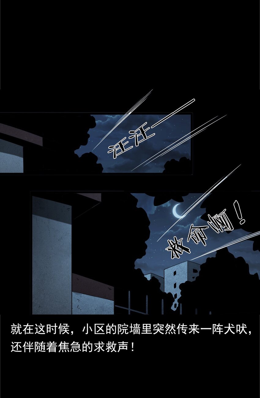042 灵犬（上）(1/2)-第42话