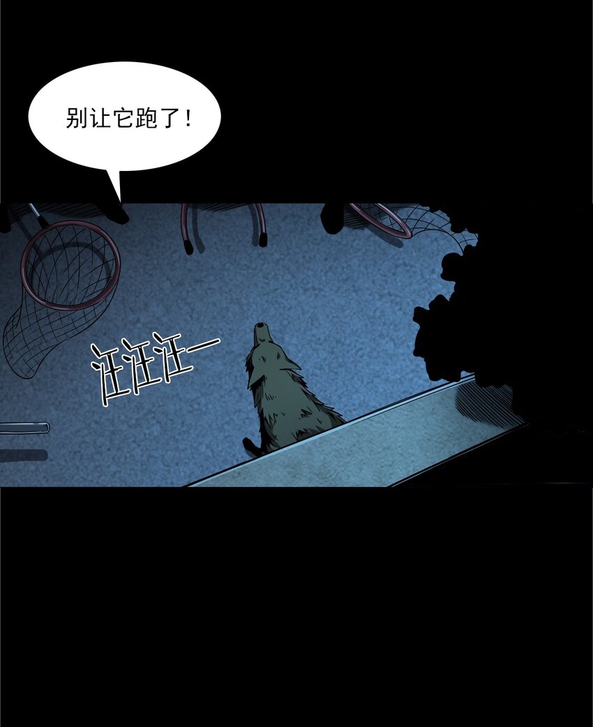 042 灵犬（上）(1/2)-第42话