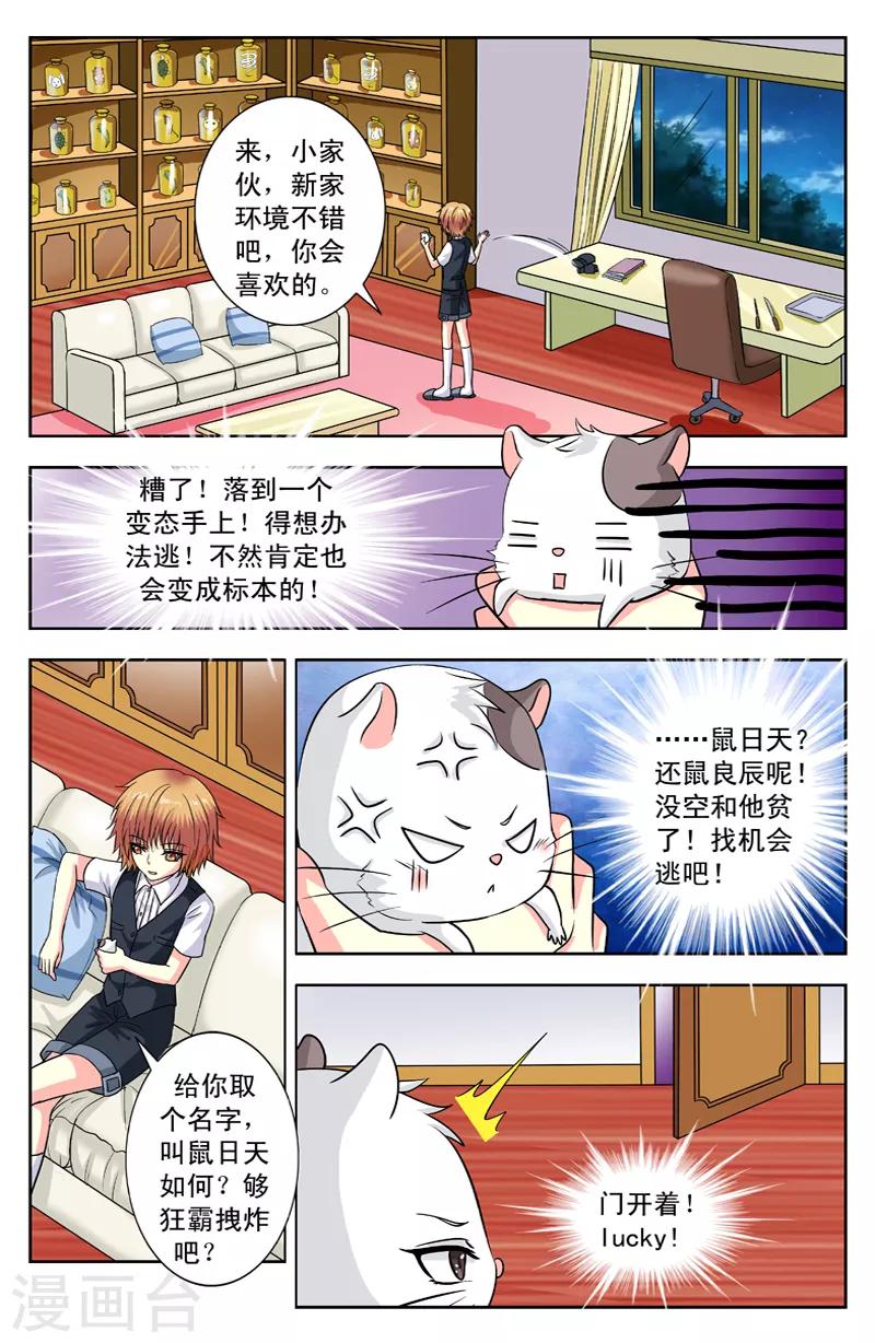 第114话 功能之一-第114话