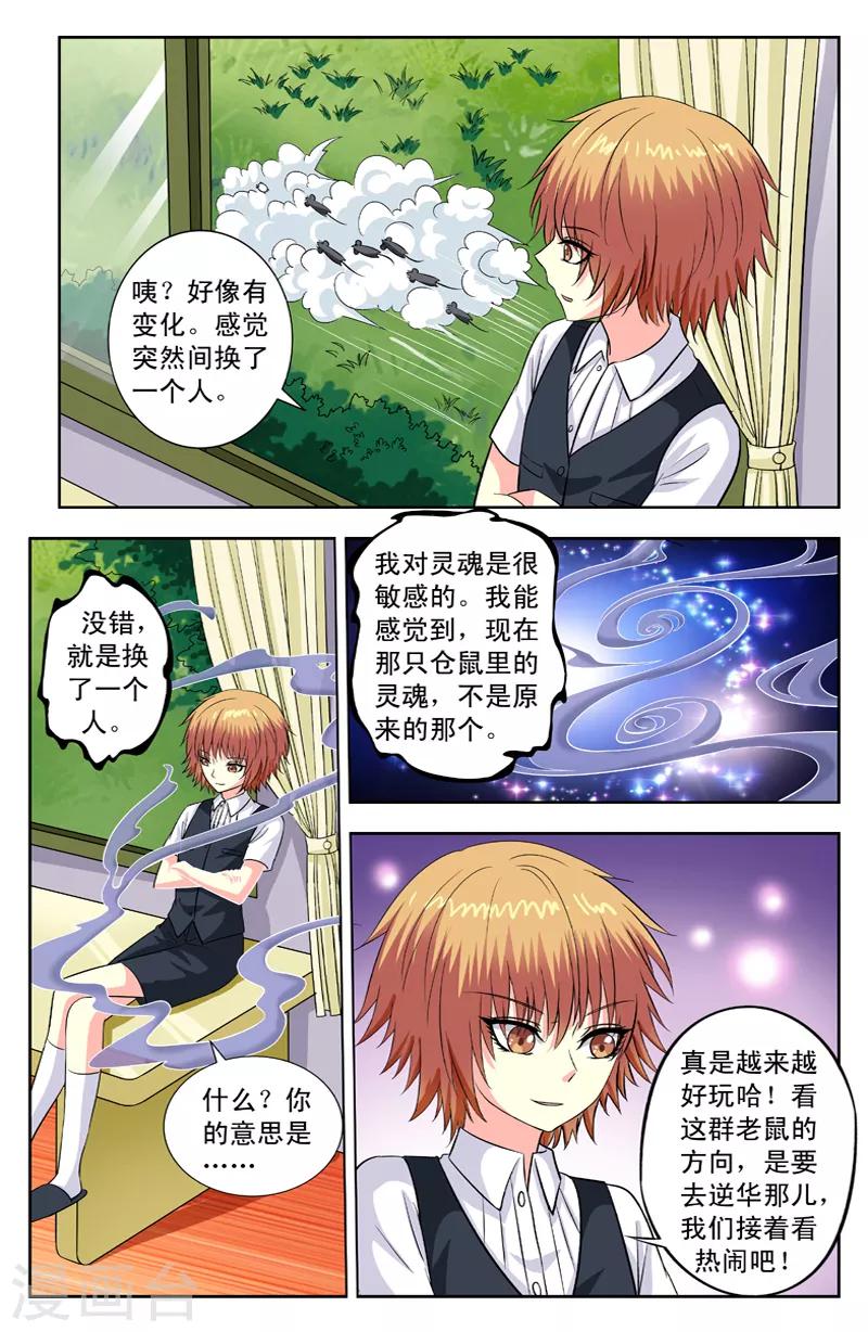 第116话 醒了-第116话