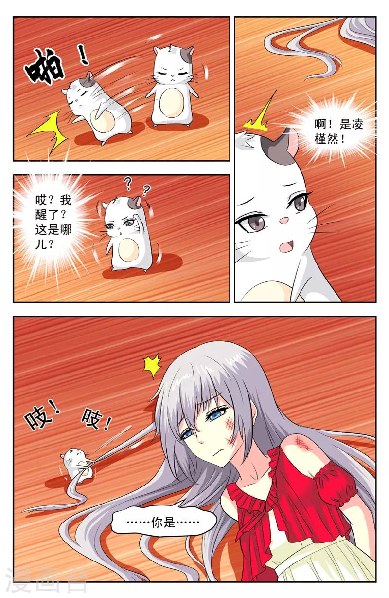 第116话 醒了-第116话