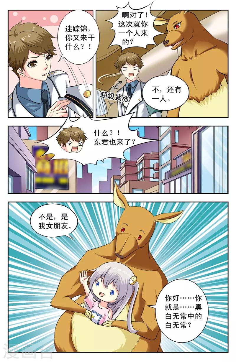 第162话 袋鼠-第162话
