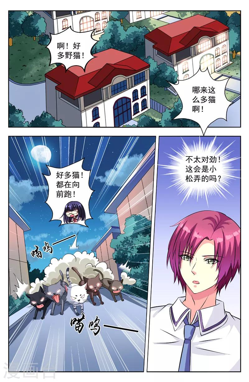 第54话 群猫-第54话