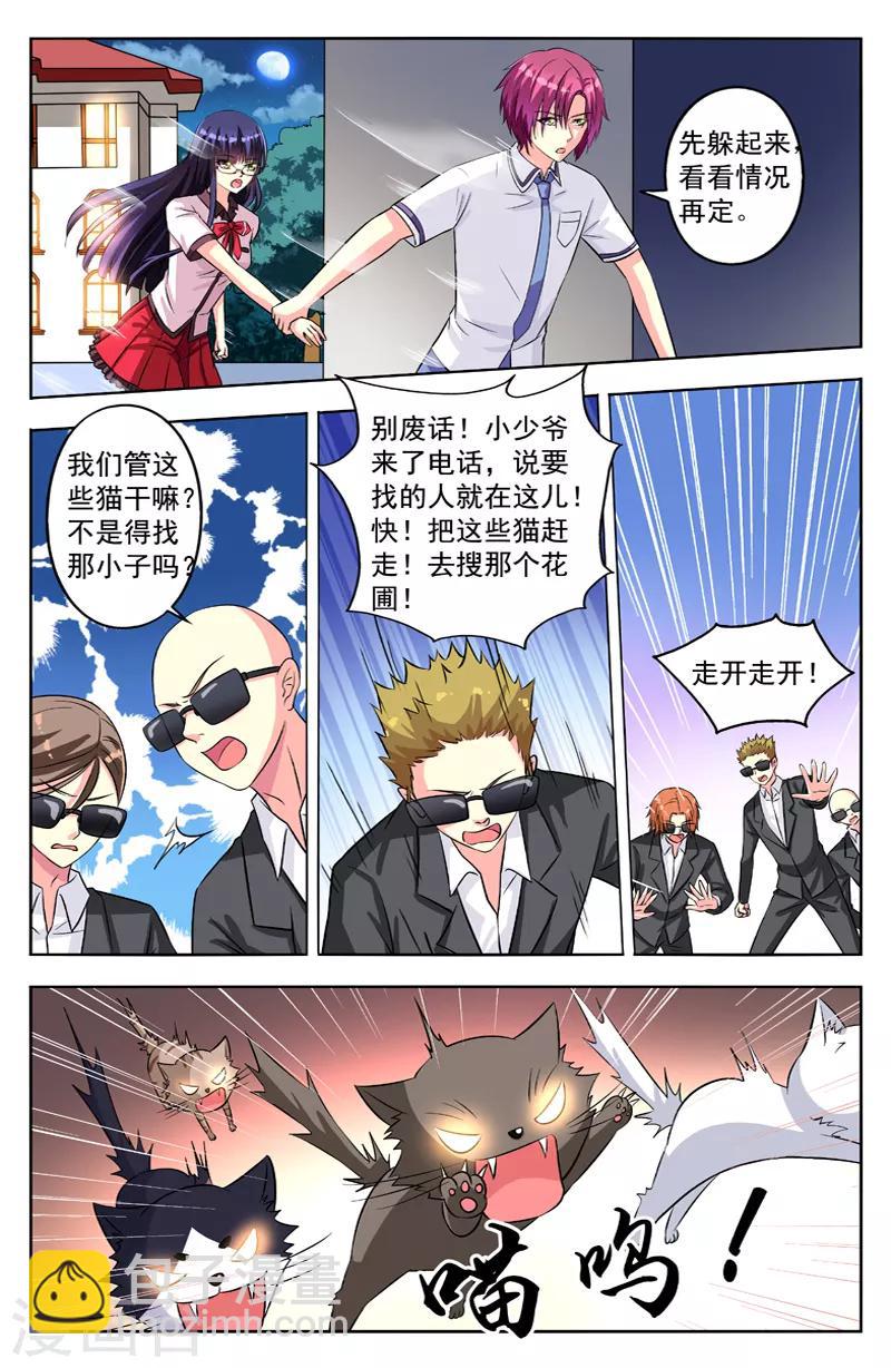 第54话 群猫-第54话