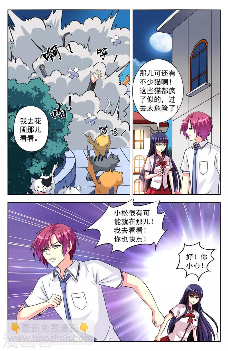 第54话 群猫-第54话