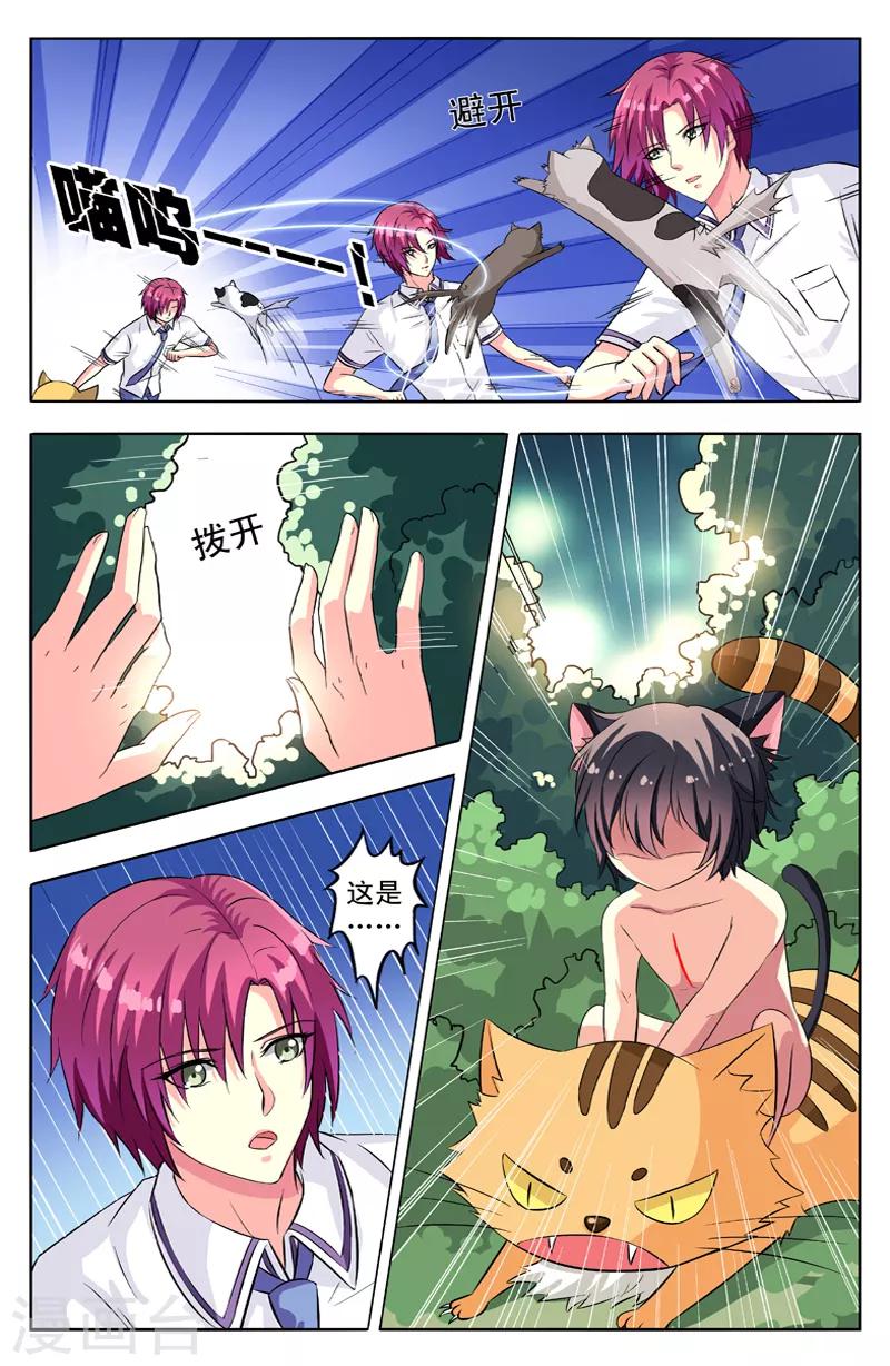 第54话 群猫-第54话