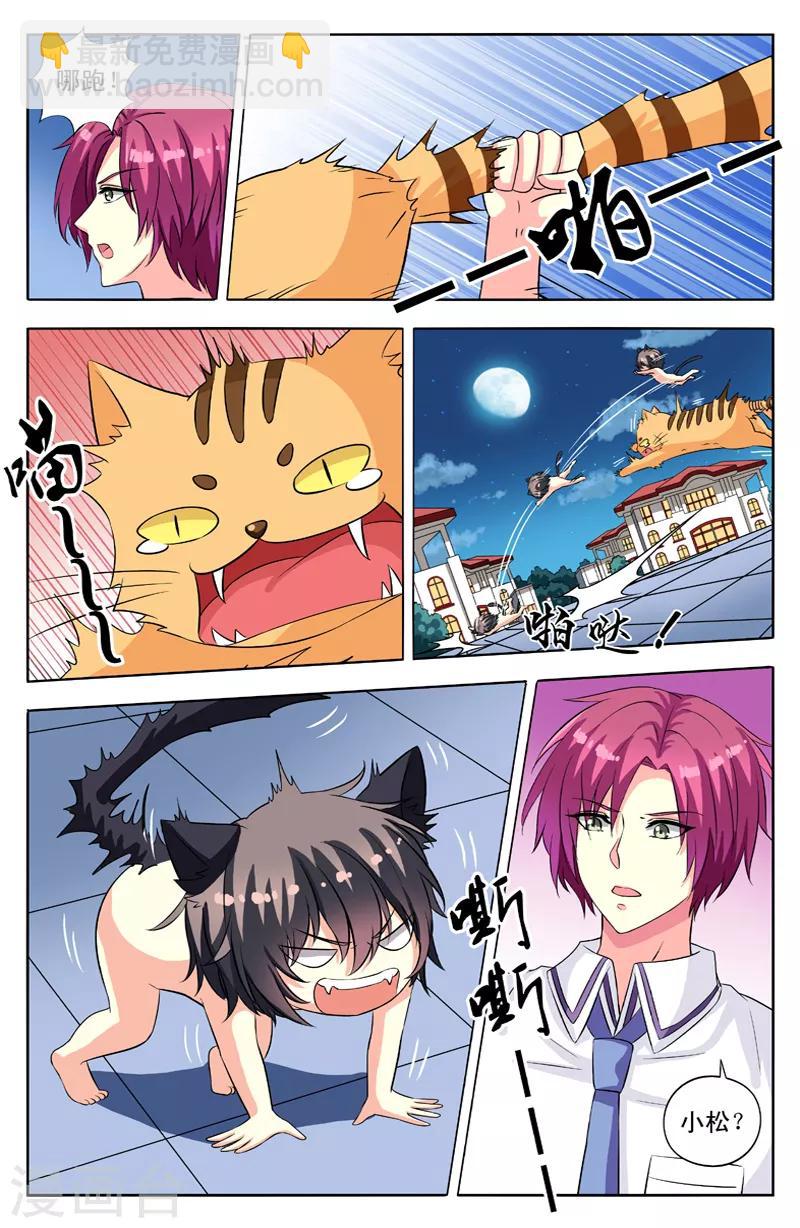 第54话 群猫-第54话