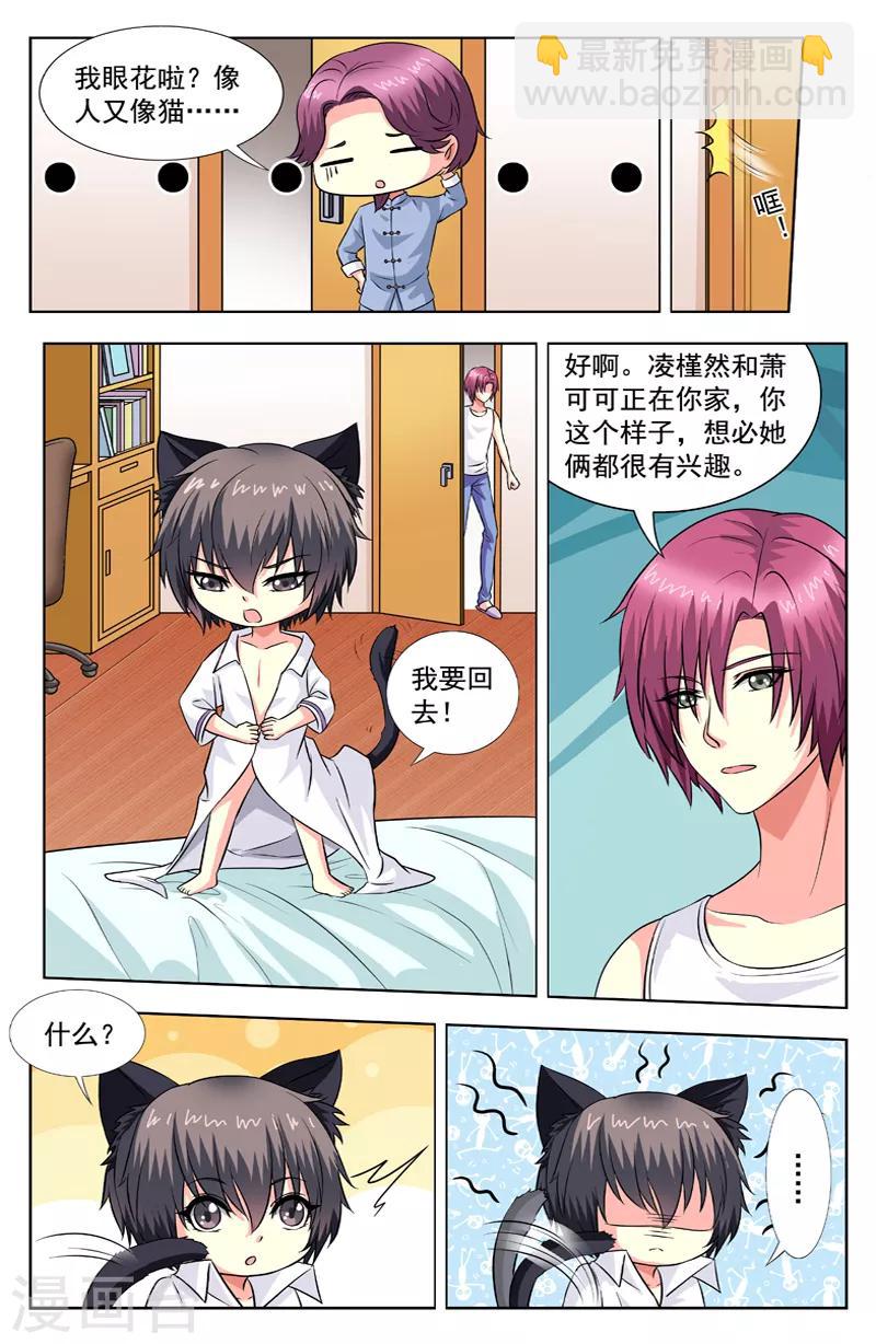 第58话 猫迎松-第58话