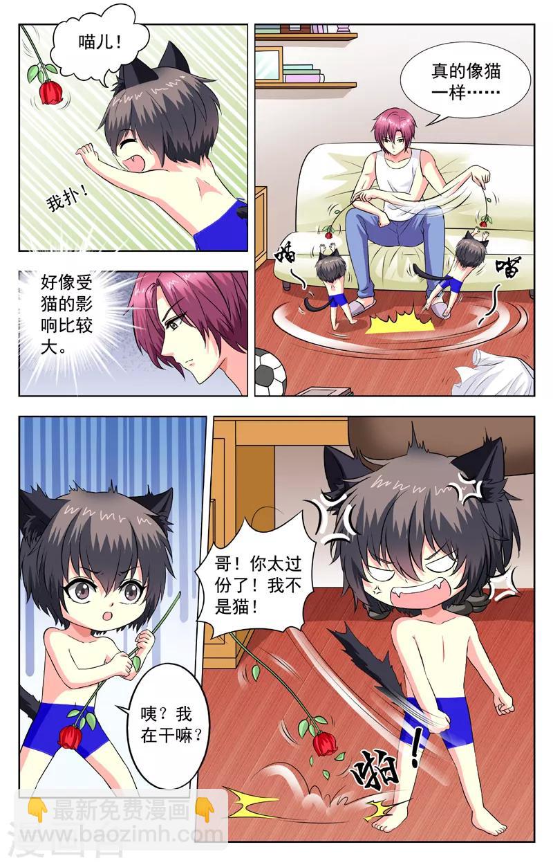 第58话 猫迎松-第58话