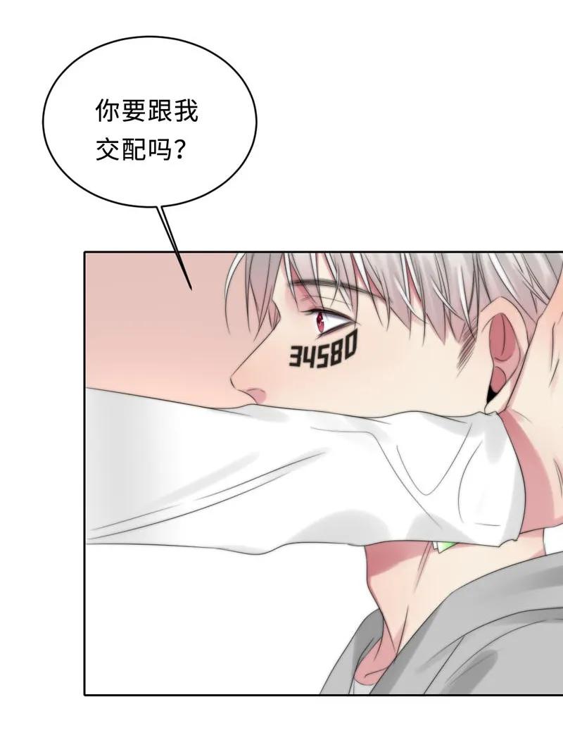 070 你喜欢我吗-第70话