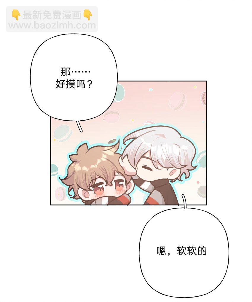 050 这张照片是怎么回事-第56话