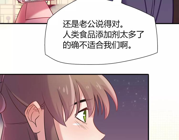 第24话 人兔都可以吃的饼干(1/2)-第24话
