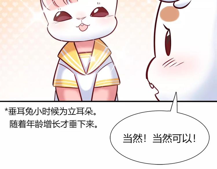 第34话 兔子明星(1/2)-第34话