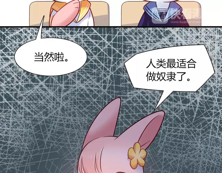 第34话 兔子明星(1/2)-第34话