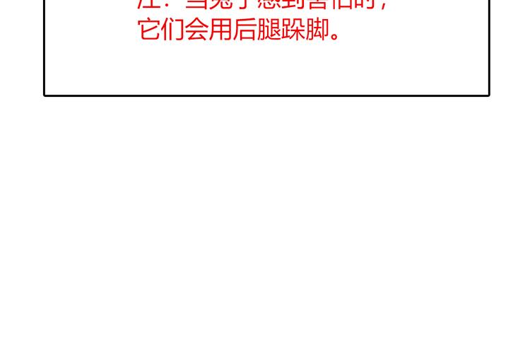 特别篇 关于兔子的那些事04-第60话