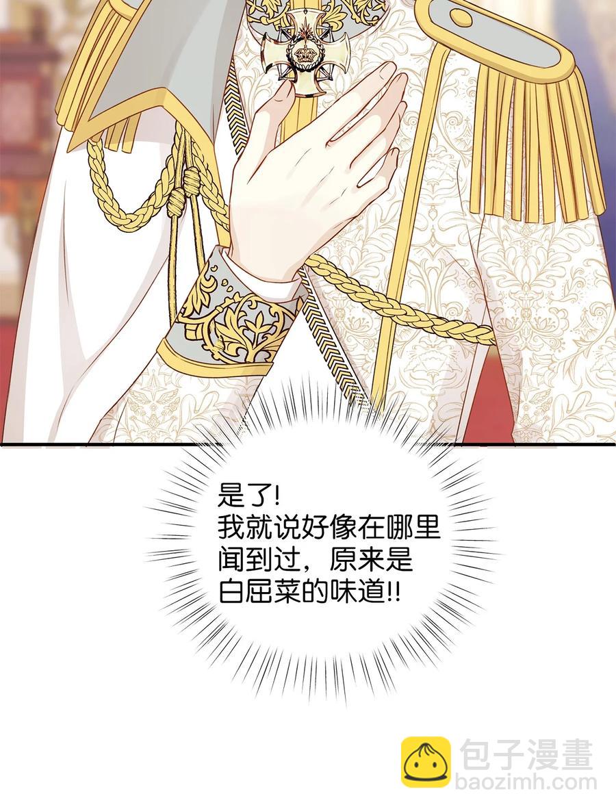 48 雷伊寻找白屈菜遇险！(1/2)-第48话