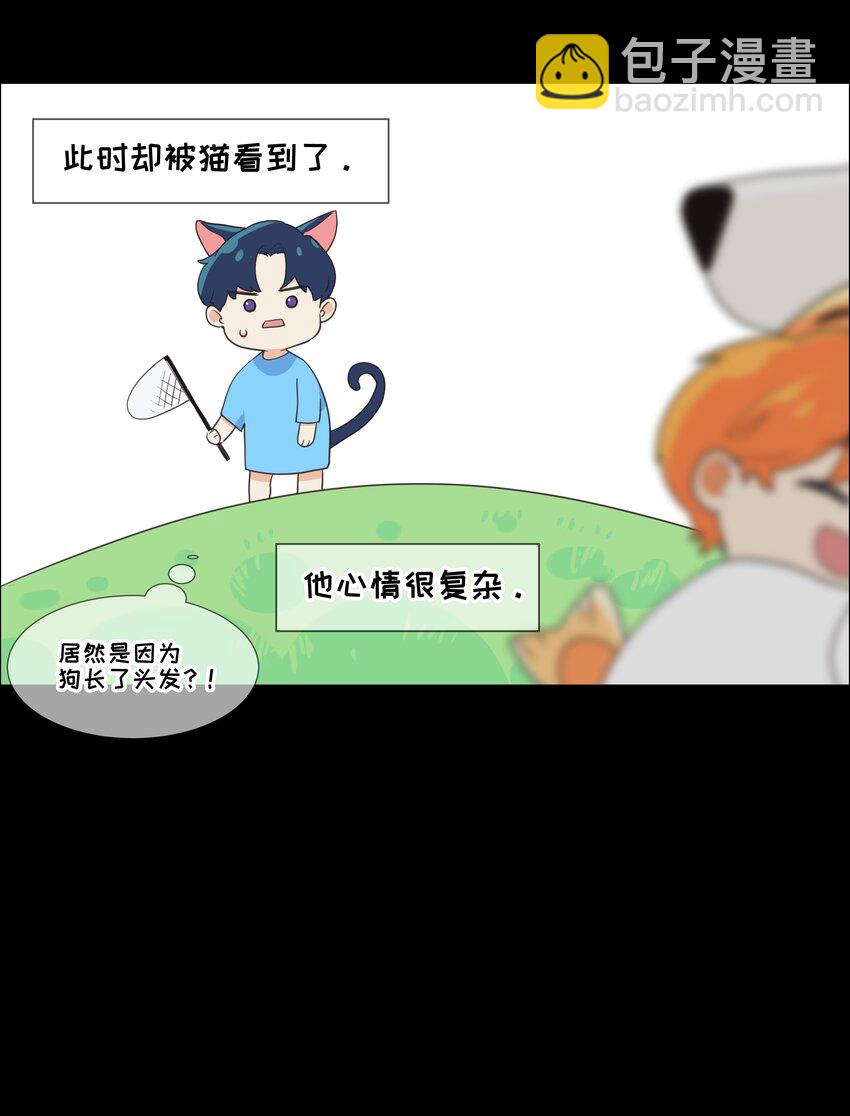 番 外-第84话