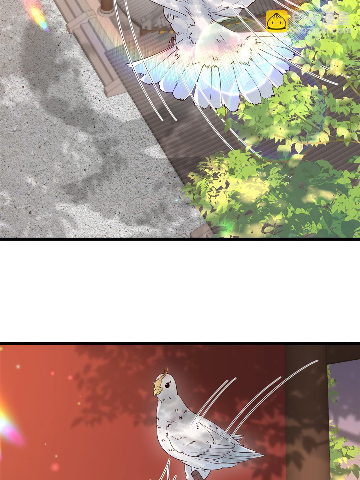 175 华离收网-第178话